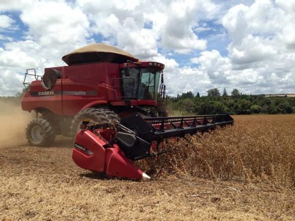 ÓTIMA FAZENDA ,IVESTIDORES UMA OTIMA OPORTUNIDADE