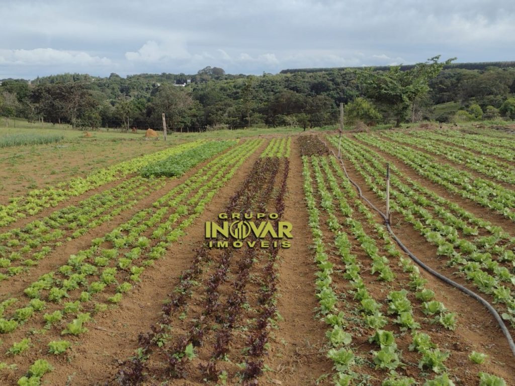 Excelente Fazenda 🔰área de 8 há próx a Br 153