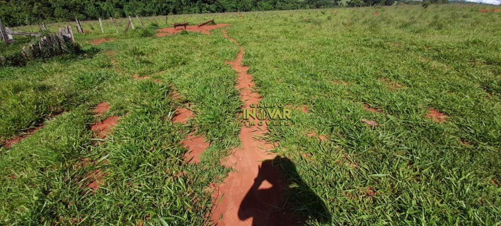 Vende-Se *Fazenda município de Petrolina* 🚨10 alqueires