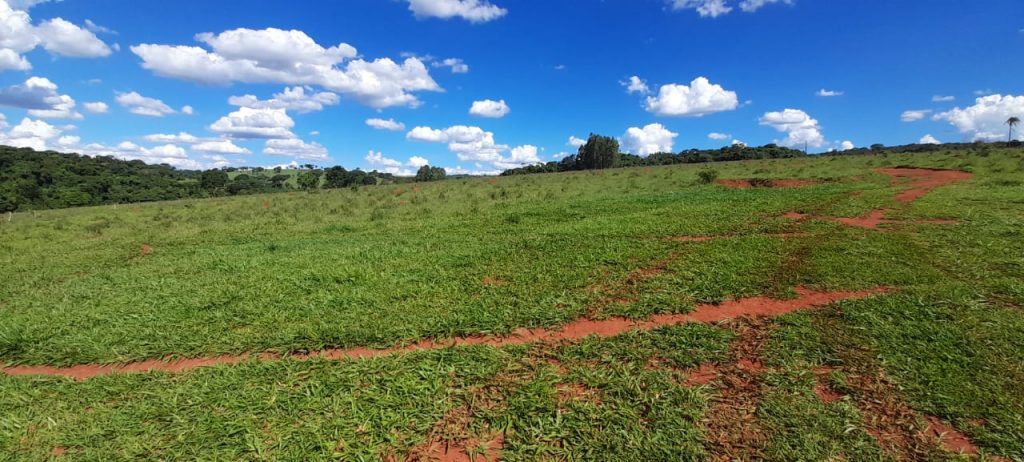 Vende-Se *Fazenda município de Petrolina* 🚨10 alqueires