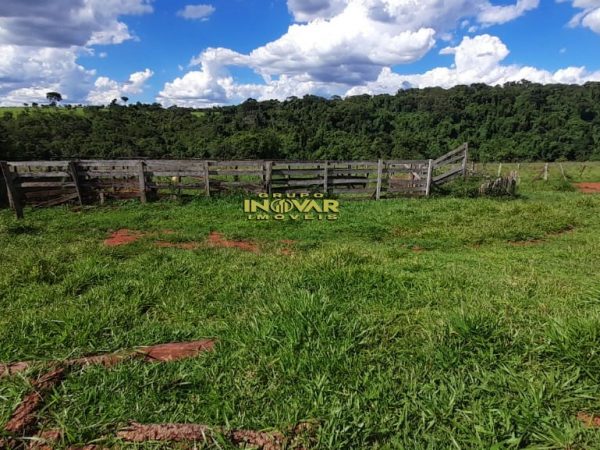 Vende-Se *Fazenda município de Petrolina* 🚨10 alqueires