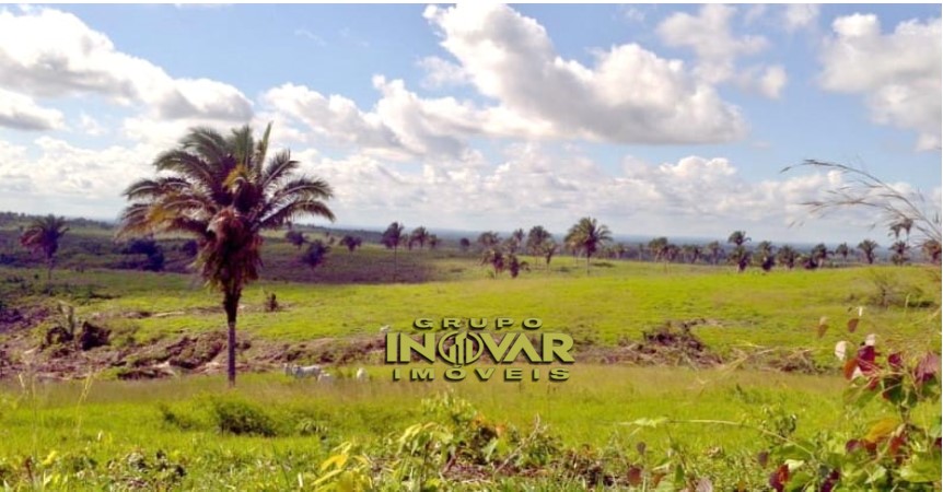 VENDE-SE FAZENDA PARAISO DO SUL MELHOR FAZENDA DA REGIAO AREA TOTAL 59.000 Mil HECTARES