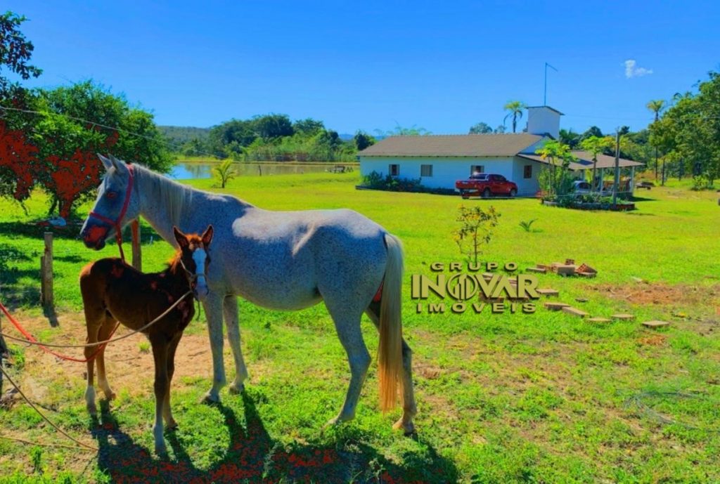 Belíssima chácara de 17 alqueires. Localizada município de Gameleira de Goiás