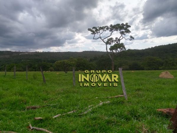 FAZENDA MUNICÍPIO DE CORUMBÁ ✅ 43 Alqueires