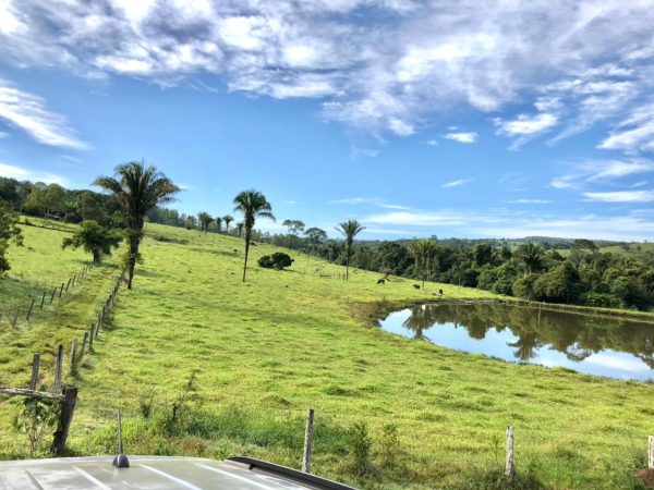 ✅ Vende-se excelente Fazenda município de Corumbá* ✅ 10 alqueires