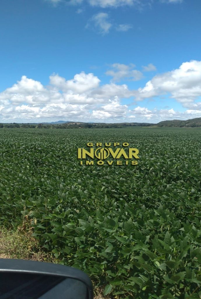 Fazenda a venda de 200 alqueires  Município de Niquelândia