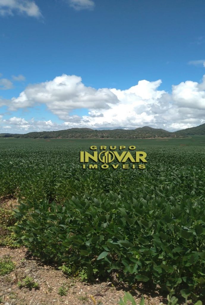 Fazenda a venda de 200 alqueires  Município de Niquelândia