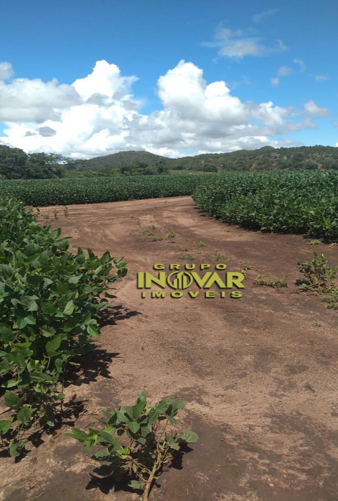 Fazenda a venda de 200 alqueires  Município de Niquelândia