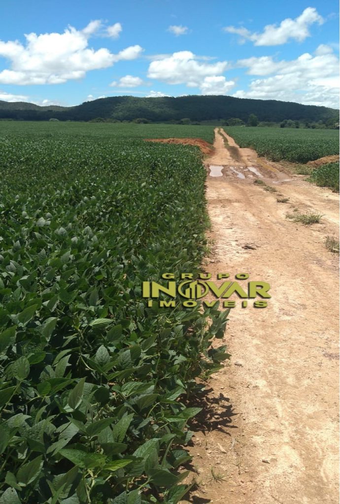 Fazenda a venda de 200 alqueires  Município de Niquelândia