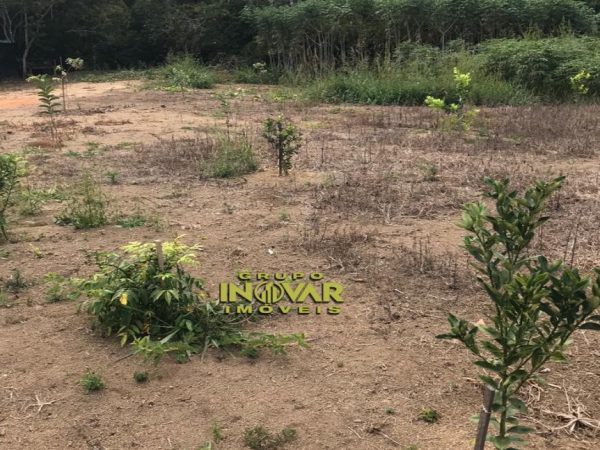 Grupo Inovar Imóveis Vende_Se excelente Chácara 5000 mts em Planalmira terra boa plana  Valor 85.000, 00