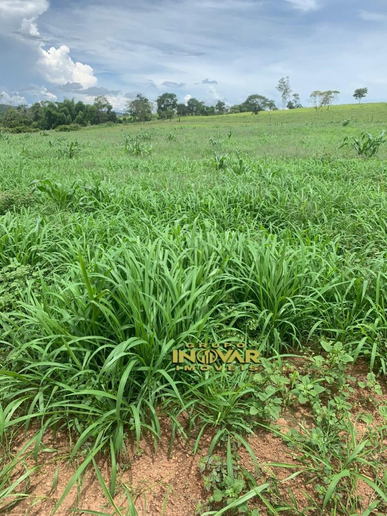 Vende-se fazenda próximo a Abadiânia 11Alq