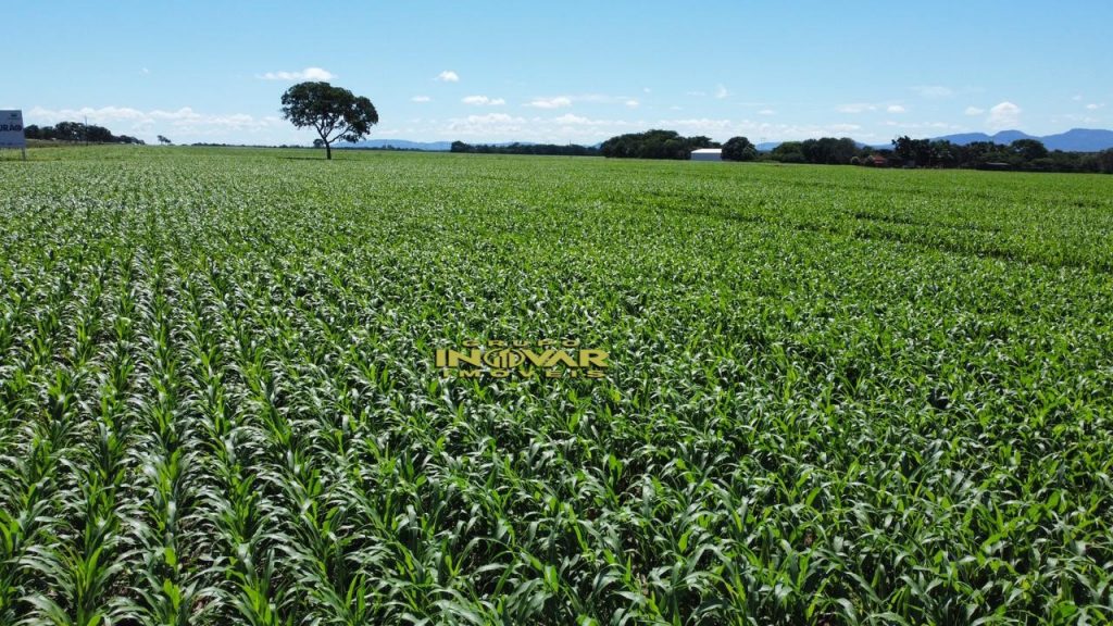 VENDE-SE FAZENDA  Município de Santa Rita, na beira da Br 153