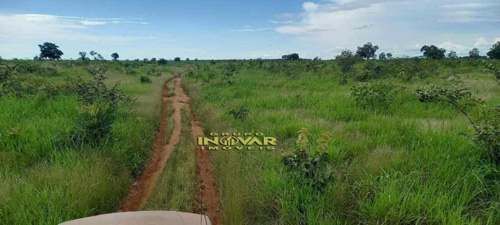 Vende-se Fazenda vale do araguaia Região de marianópolis-TO   Total de 1.315 hectares  271 Alqueiro