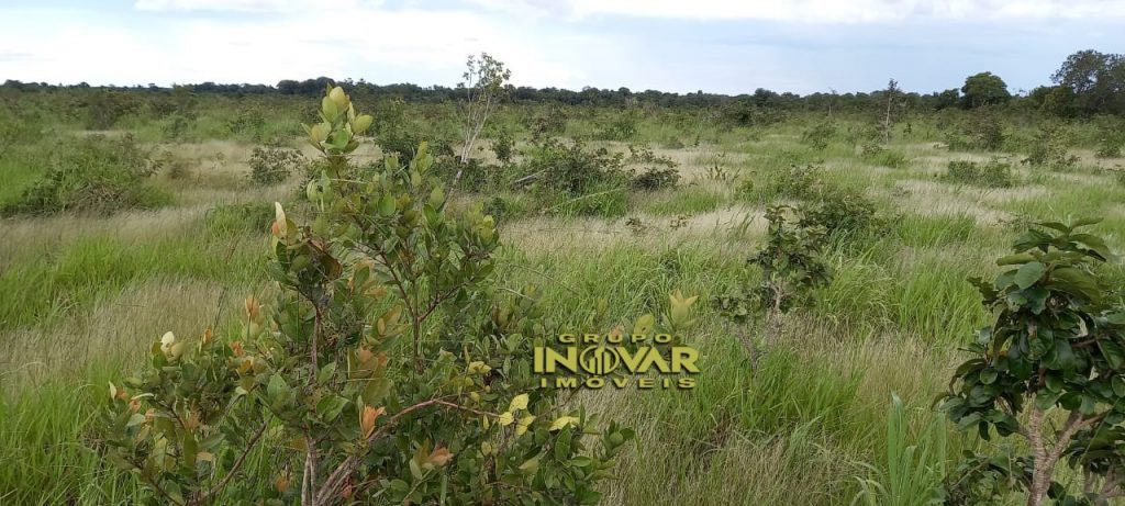 Vende-se Fazenda vale do araguaia Região de marianópolis-TO   Total de 1.315 hectares  271 Alqueiro