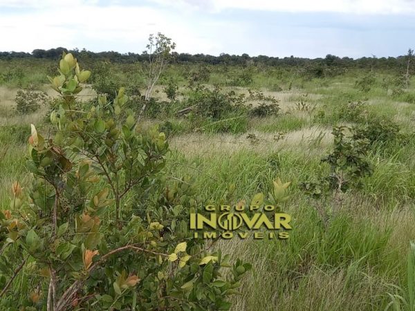 Vende-se Fazenda vale do araguaia Região de marianópolis-TO   Total de 1.315 hectares  271 Alqueiro