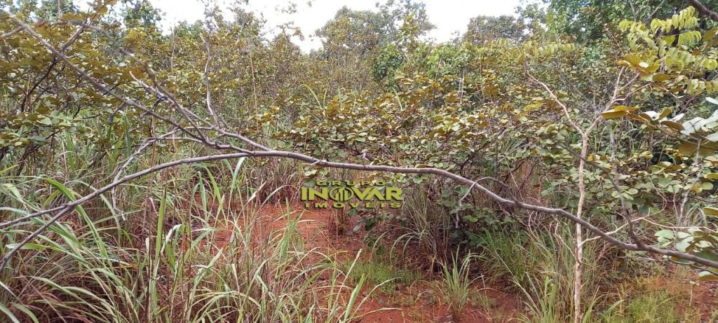 Vende-se Fazenda vale do araguaia Região de marianópolis-TO   Total de 1.315 hectares  271 Alqueiro