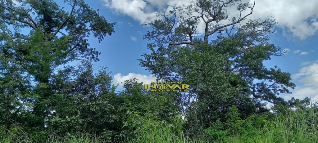 Vende-se Fazenda vale do araguaia Região de marianópolis-TO   Total de 1.315 hectares  271 Alqueiro