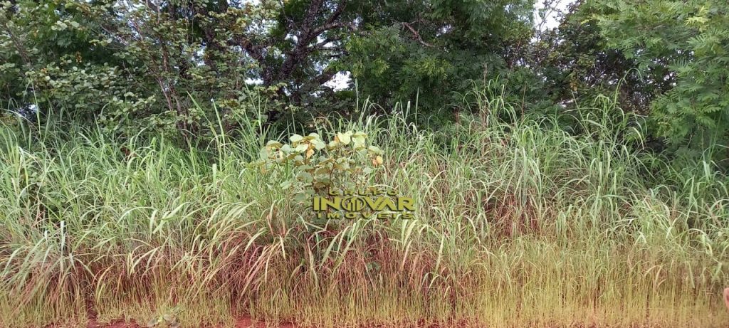 Vende-se Fazenda vale do araguaia Região de marianópolis-TO   Total de 1.315 hectares  271 Alqueiro