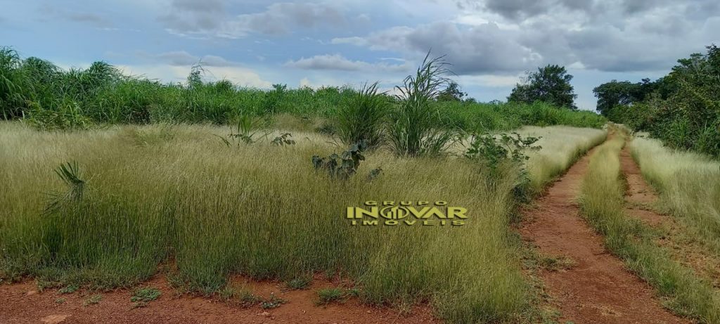 Vende-se Fazenda vale do araguaia Região de marianópolis-TO   Total de 1.315 hectares  271 Alqueiro