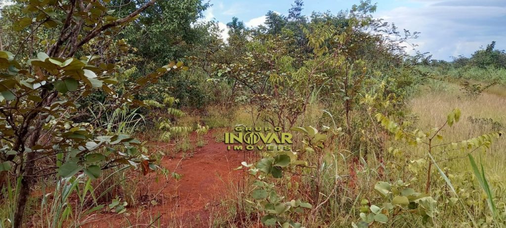 Vende-se Fazenda vale do araguaia Região de marianópolis-TO   Total de 1.315 hectares  271 Alqueiro