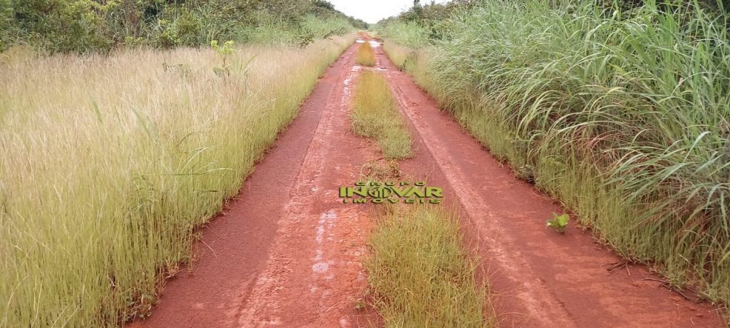 Vende-se Fazenda vale do araguaia Região de marianópolis-TO   Total de 1.315 hectares  271 Alqueiro