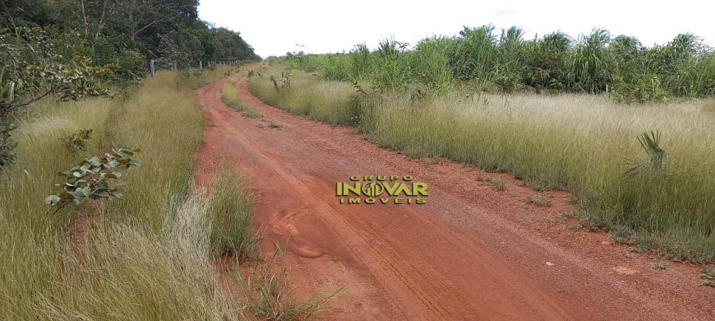 Vende-se Fazenda vale do araguaia Região de marianópolis-TO   Total de 1.315 hectares  271 Alqueiro