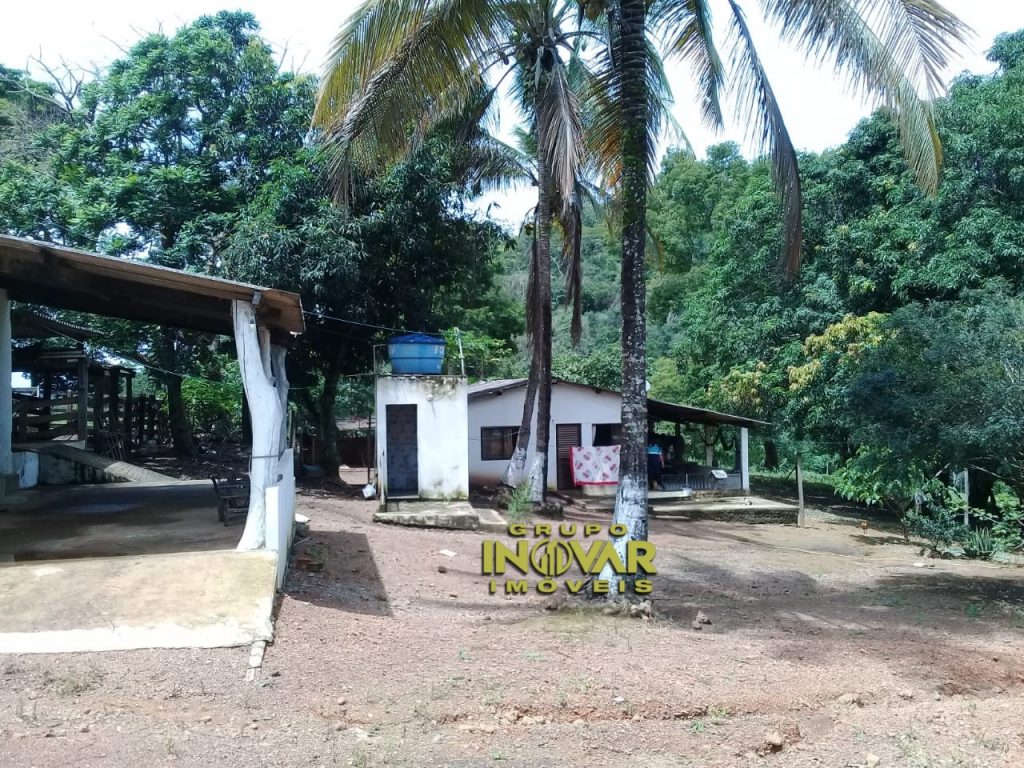 Vende-se fazenda em Luziânia 11Alqueires – grupoinovar