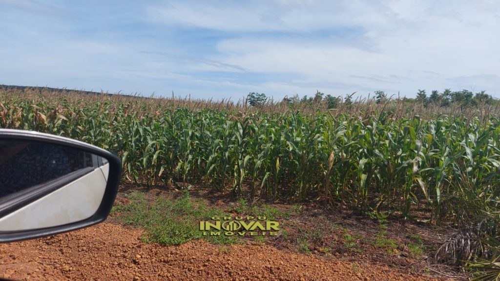 FAZENDA LOCALIZADA NO VALE DO ARAGUAIA-TO🐄 DULPLA APTIDÃO 🌱 AREA TOTAL; • São 430 alqueires ou, (2081,20 hectares).