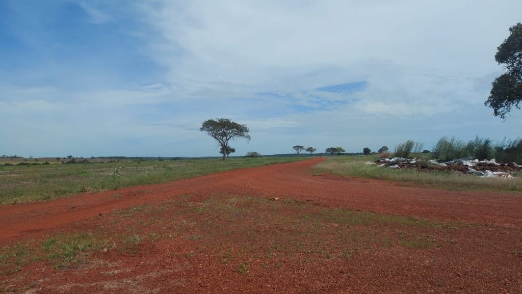 FAZENDA LOCALIZADA NO VALE DO ARAGUAIA-TO🐄 DULPLA APTIDÃO 🌱 AREA TOTAL; • São 430 alqueires ou, (2081,20 hectares).