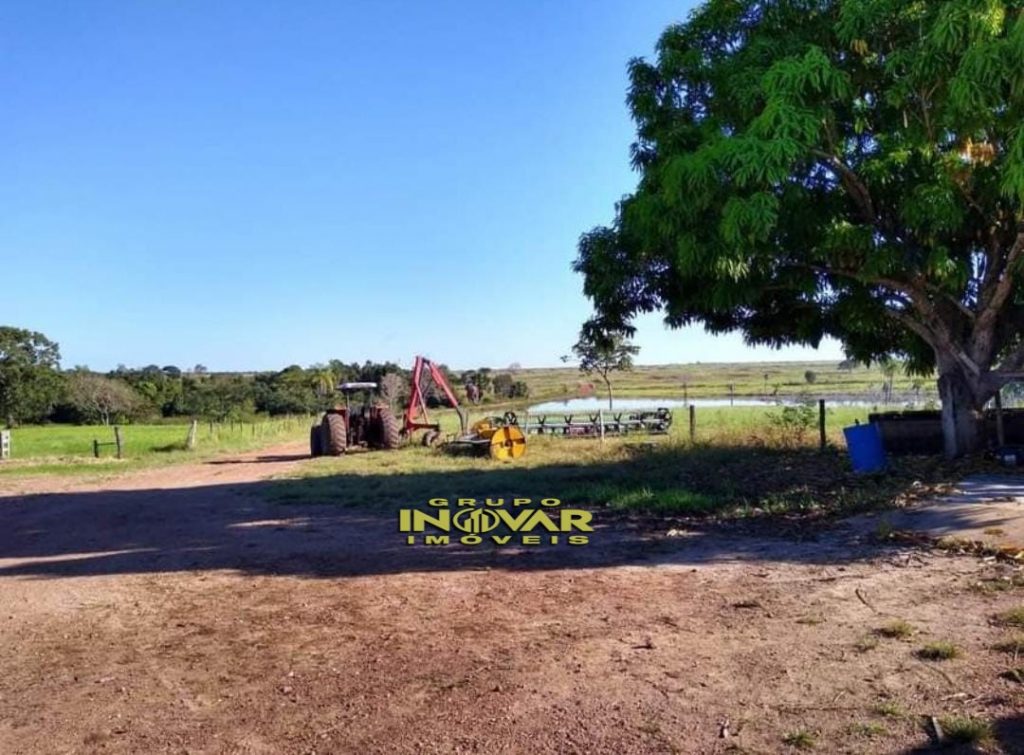 FAZENDA LOCALIZADA NO VALE DO ARAGUAIA-TO🐄 DULPLA APTIDÃO 🌱 AREA TOTAL; • São 430 alqueires ou, (2081,20 hectares).