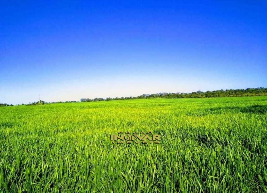 FAZENDA LOCALIZADA NO VALE DO ARAGUAIA-TO🐄 DULPLA APTIDÃO 🌱 AREA TOTAL; • São 430 alqueires ou, (2081,20 hectares).