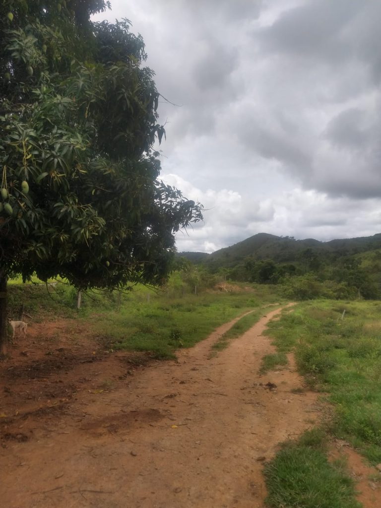 FAZENDA NO MUNICIPIO DE PADRE BERNARDO – GO