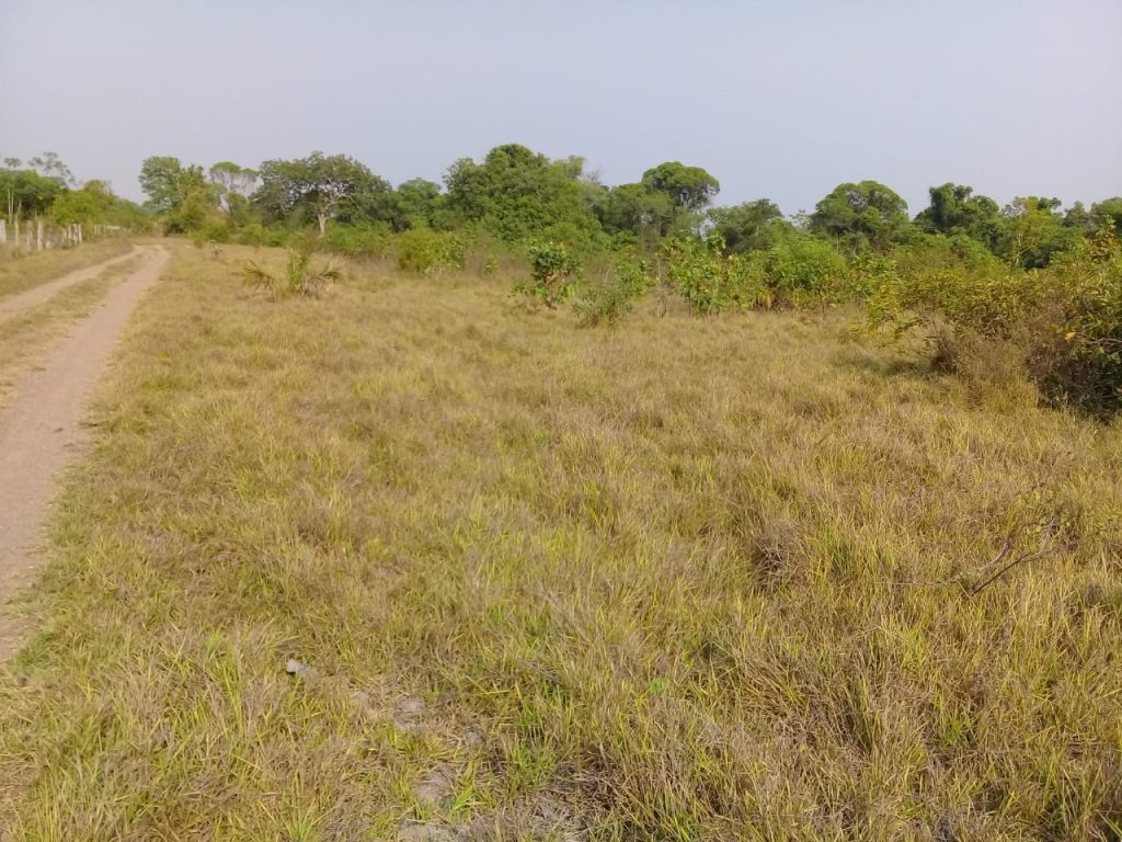 FAZENDA EM LAGOA DA CONFUSÃO – TO