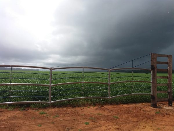 FAZENDA ESPETACULAR  NO MUNICIPIO DE VERA MATO GROSSO