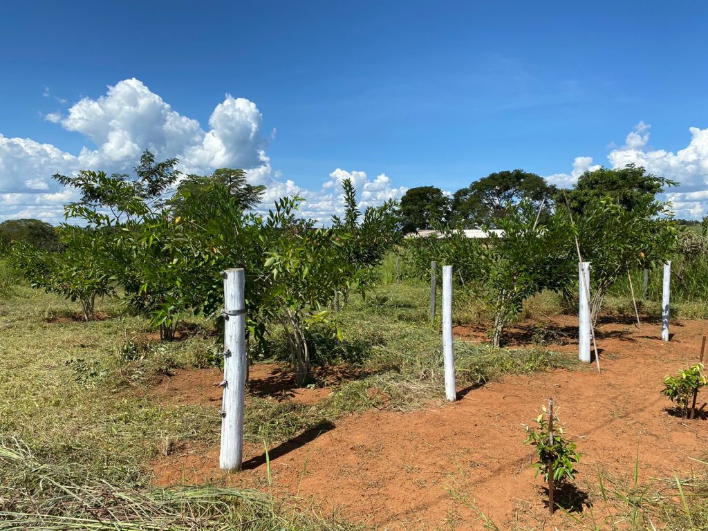 Lote no Condomínio Buriti – Lago Corumbá V